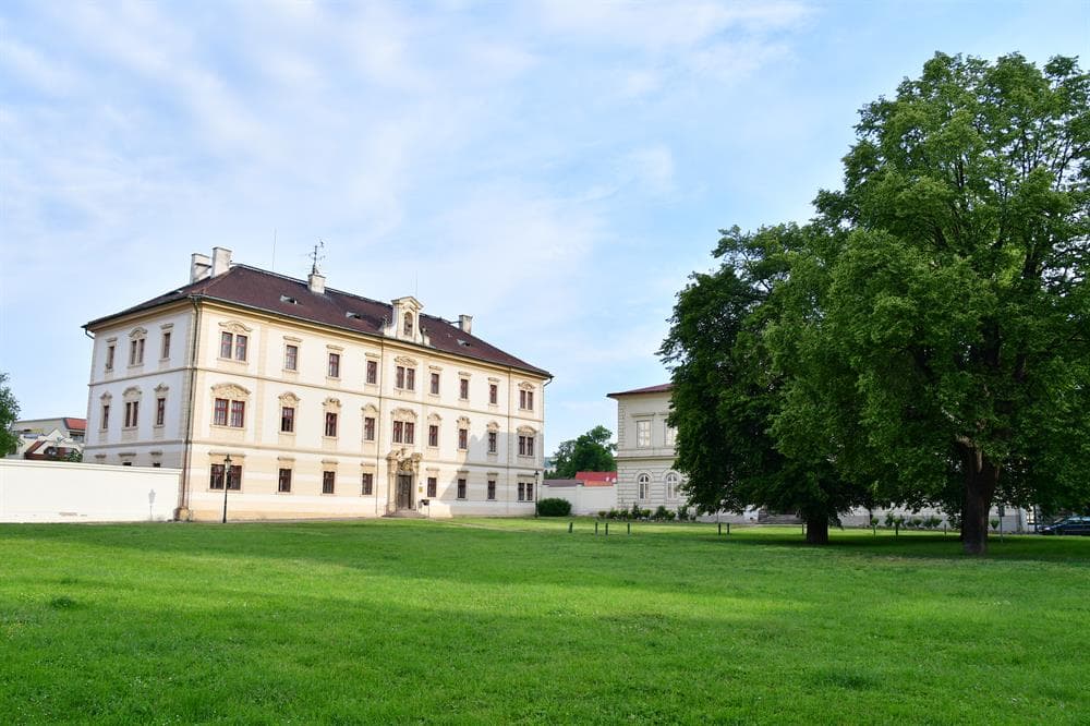 213d94f1-193a-4194-b3ac-783ecac9