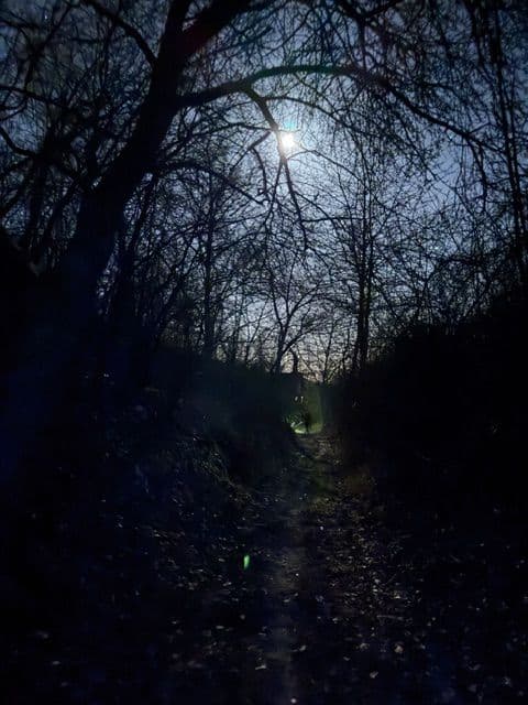 4d172d92-8ac6-43ec-bd57-f0e1dd64