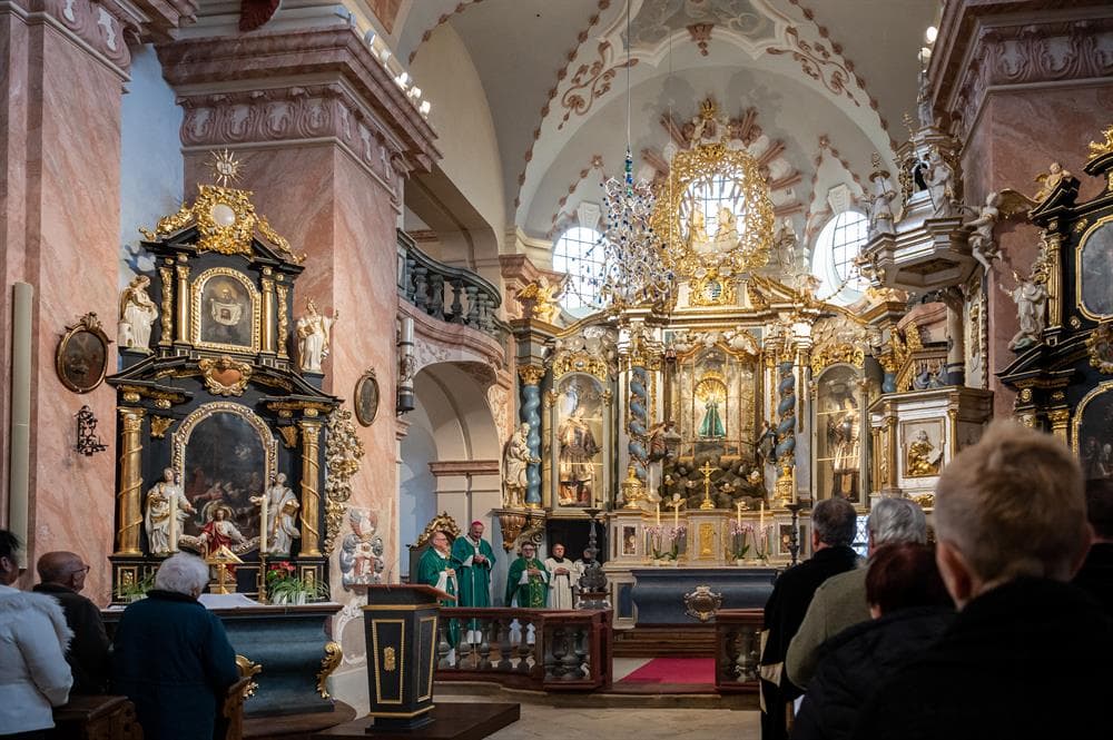 12b5a58a-d243-49cb-af56-a2412bf6
