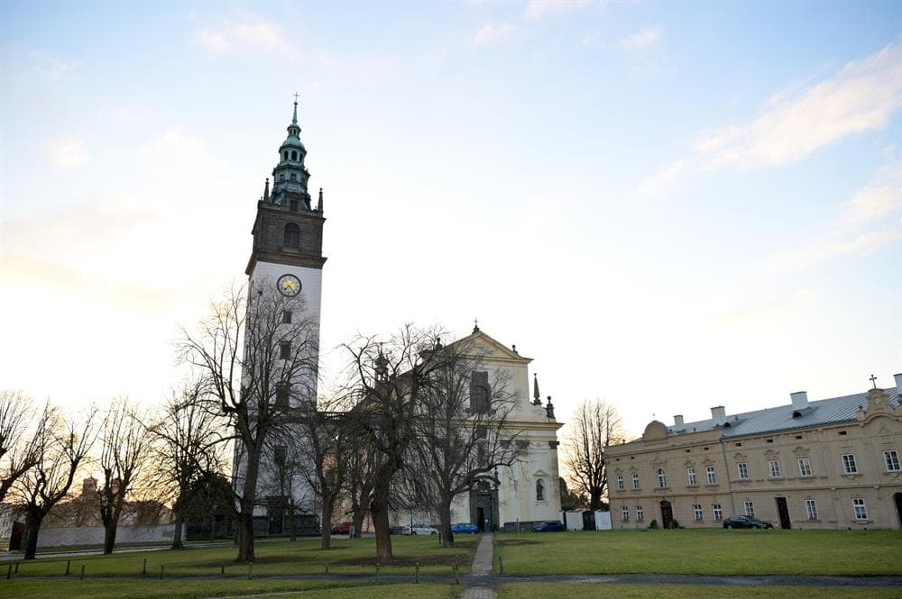 c50ae8fd-e696-491b-8097-c8373b4d