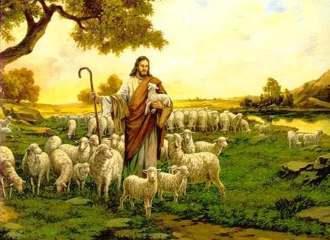 Neděle Dobrého pastýře připomíná význam duchovních povolání