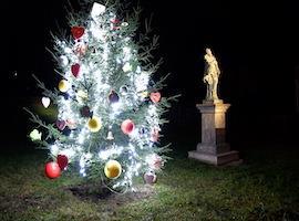 V obci Brtníky svítí adventně-vánoční strom